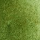 Permanent Sap Green